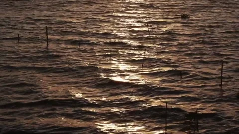 Gentle Waves at the Lake Stock-Footage 265828015