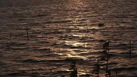 Gentle Waves at the Lake Video stock 265828016