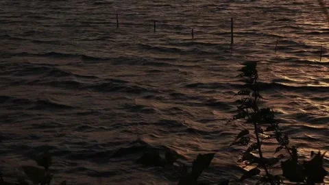 Gentle Waves at the Lake Stock-Footage 265828221