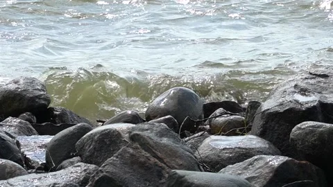 Gentle waves from lake on rocks Stock Footage 166116810