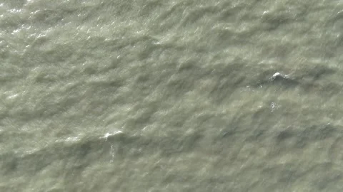 Gentle waves lap against shore in tranquil coastal setting Video stock 313517072