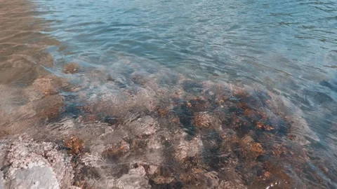 Gentle waves lap rocks and seaweed in Fowey River, Cornwall 스톡 동영상 345098137