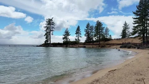 Gentle waves lap a sandy cove at Sand Harbor Beach in Lake Tahoe with tall pine 库存影片 341327261