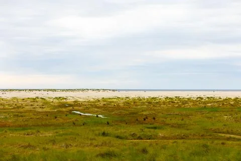 Gentle waves lap at the shore, while lush green grass and sandy dunes stretch Foto stock