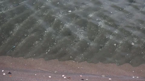 Gentle waves lapping against a sandy beach scattered with small shells Stock Footage 305636464