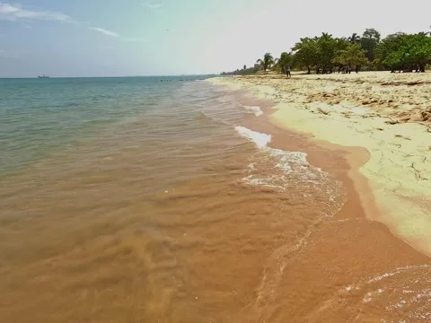 Gentle Waves Lapping Golden Tropical Beach Shoreline on a Sunny Day Stock Footage 319767047