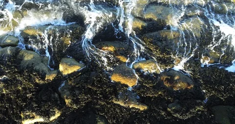 Gentle Waves Lapping the Shore Stock Footage 128354837