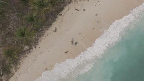 Gentle Waves at Mandel Beach Drone Landscape of Sulawesi I D Log M LOG Format Stock Footage 317396795