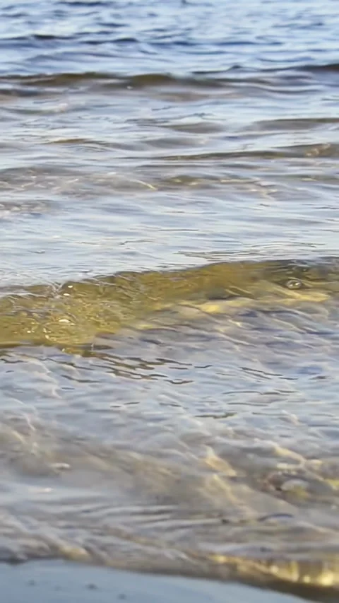 Gentle waves moving across shallow shoreline at golden hour Video stock 323696280