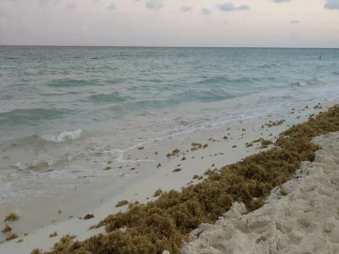 Gentle Waves on Natural Sandy Beach During Sunset Stock Footage 73974569