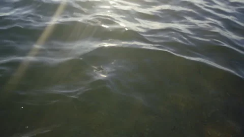 Gentle waves of ocean Stock Footage 212927599