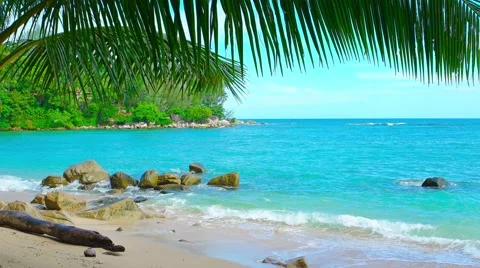 Gentle Waves on a Protected Rocky Beach with Palms Video stock 54608254