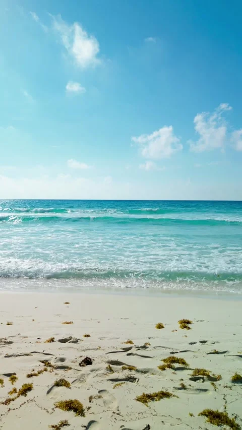 Gentle waves reaching a white sand beach in the Caribbean Video stock 342090289