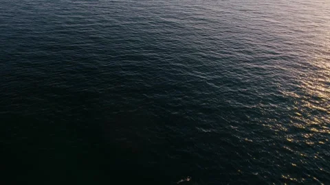 Gentle waves reflect sunlight at dawn over a calm ocean surface Stock Footage 293148372