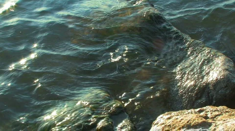 Gentle waves on rocks Stock Footage 590610