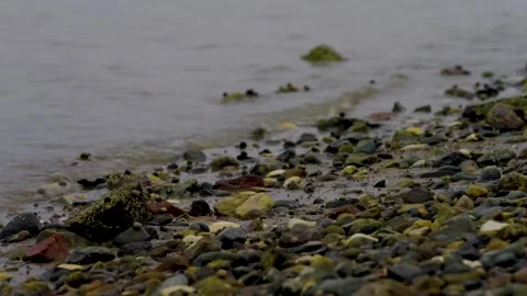 Gentle waves on a rocky beach Stock Footage 336750384