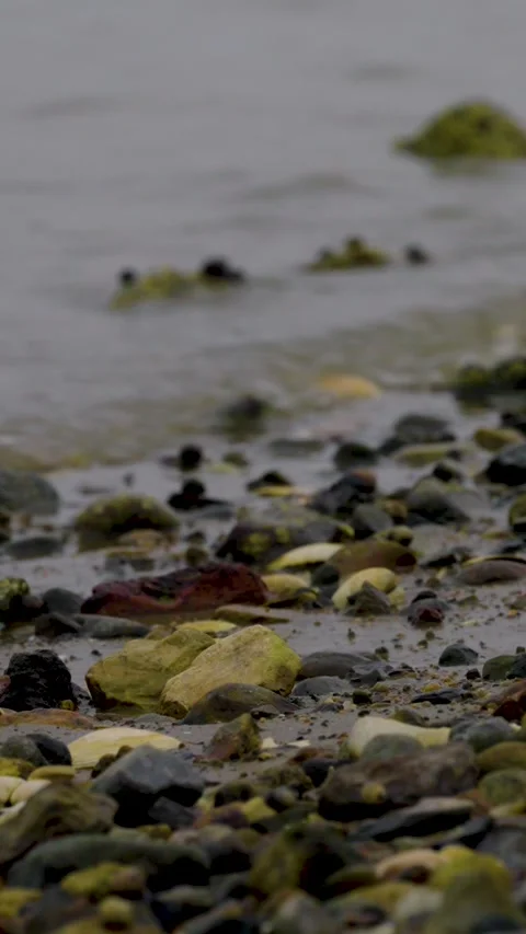 Gentle waves on a rocky beach - vertical Stock Footage 336810871
