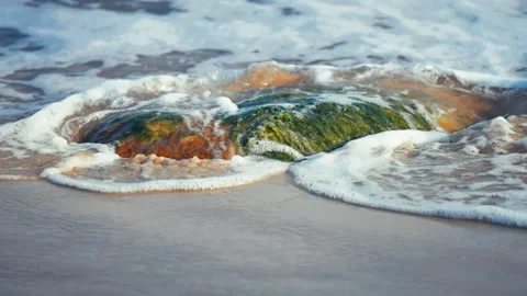 Gentle waves roll over the patch of the seaweed on the sandy beach. Stock Footage 263846409