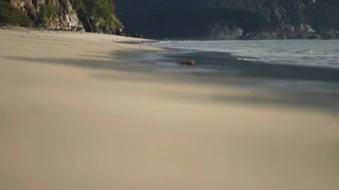 Gentle waves roll on the sandy beach. Slow-motion parallax video. Stock Footage 248696546
