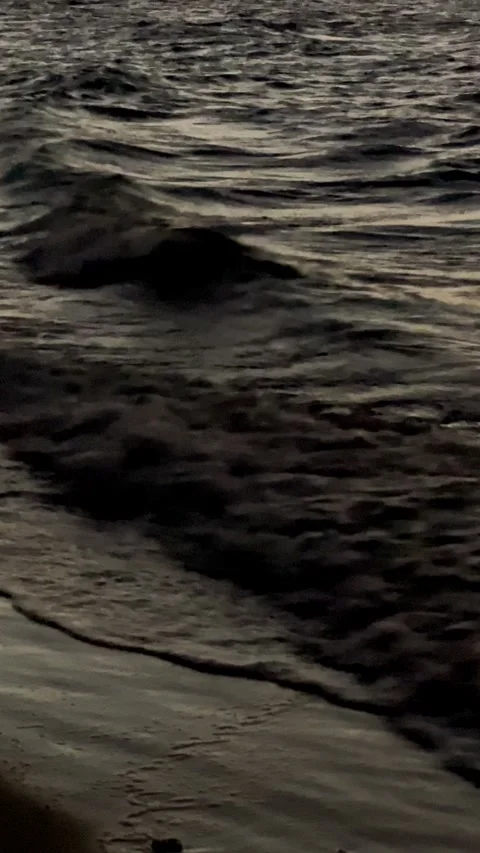 Gentle Waves Rolling on the Beach at Sunset Stock Footage 341299205