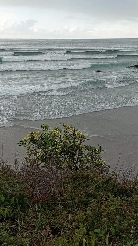 Gentle waves rolling onto Los Castros beach under cloudy sky, Cantabrian Sea Video stock 337655148