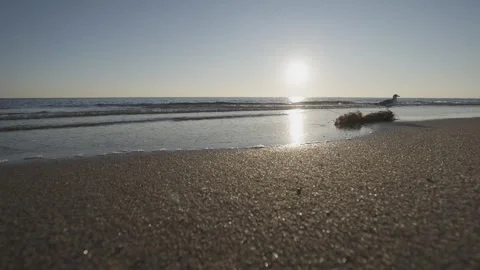 Gentle waves rolling on sandy beach on a sunny day. Stock Footage 304160424