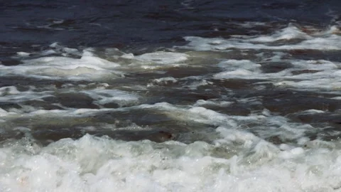 Gentle waves rolling on the shore in a split screen Video stock 309703044