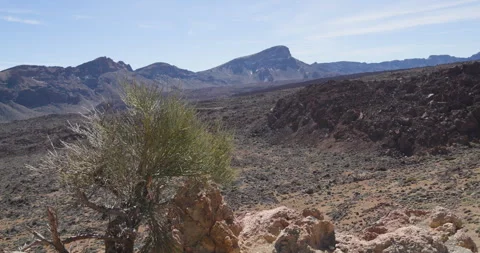 Gentle Waves on Sandy Beach with Rock Barrier, Tenerife Spain Video stock 329764877