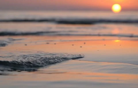 Gentle Waves on Sandy Beach at Sunset with Sun Reflection Video stock 343320205