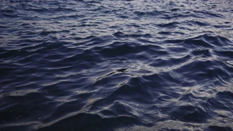 Gentle waves of sea beach Video stock 213106147