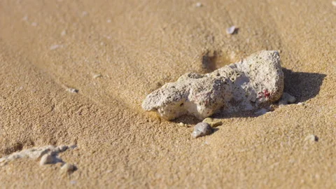 Gentle Waves Washing Over Dead Coral Fragments on Iriomote Island Beach Stock Footage 328619739