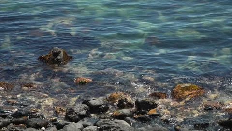 Gentle waves washing over rocks and boulders in clear blue sea at Haeundae Blue 스톡 동영상 336664448