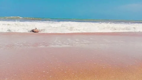 Gentle waves washing onto a sandy beach Stock Footage 346335920