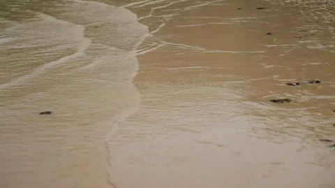 Gentle waves washing sandy shore, revealing peaceful thai beach landscape in Stock Footage 308680416