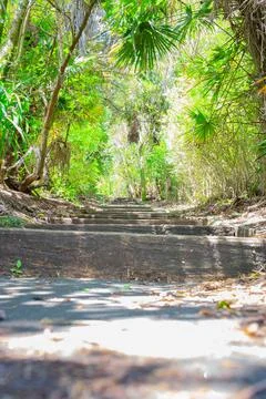 Gentle wind is rustling trees and leaves on a concrete small path behind houses Stock-Fotos