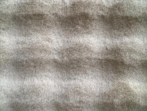 Gentle wool pattern, cozy grey textured rug detail, smooth wool surface with Stock Photos