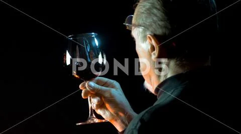 Gentleman testing wines in the winery. Stock Photos