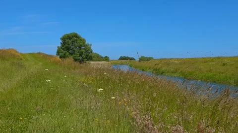 A gently flowing canal through a lush green meadow Stockbeeldmateriaal 201532880