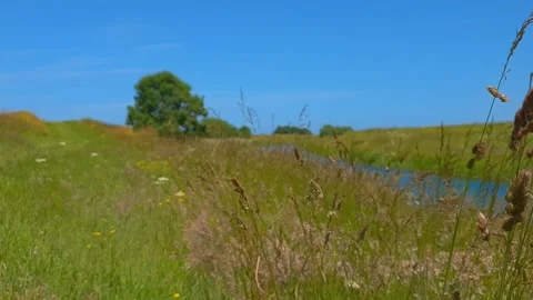 A gently flowing canal through a lush green meadow Stockbeeldmateriaal 201589342