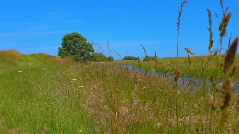 A gently flowing canal through a lush green meadow Stockbeeldmateriaal 201589404