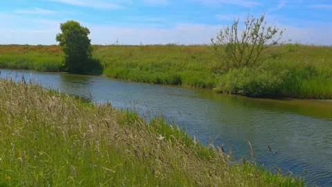 A gently flowing canal through a lush green meadow Stock Footage 201589872