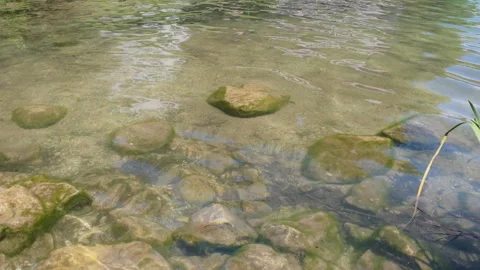 Gently flowing clear water in a shallow lake revealing a rocky bottom Stock Footage 344006309