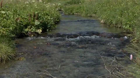 Gently Flowing Mountain Stream 2 Stock Footage 29153905
