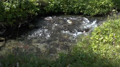 Gently Flowing Mountain Stream 3 Stock Footage 29150663
