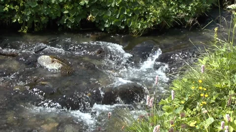Gently Flowing Mountain Stream 4 動画素材 32294410
