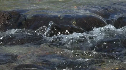 Gently Flowing Mountain Stream 6 動画素材 39589138