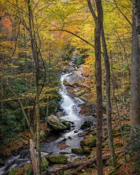 Gently Flowing Stream Coursing Through Fall Colors Stock Photos