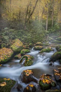 Gently Flowing Stream Coursing Through Fall Colors on a foggy Morning Stock Photos