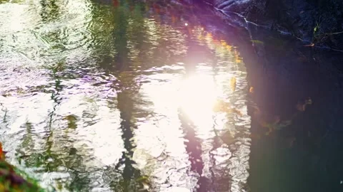 Gently flowing stream reflects trees, sunbeams on the water's surface, and .. Stock Footage 256069950