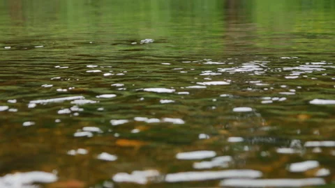 Gently flowing stream surface. Stock Footage 248455518